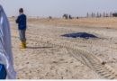 Au moins 69 morts et des dizaines de disparus dans le chavirage d’une embarcation de migrants au large de la Mauritanie
