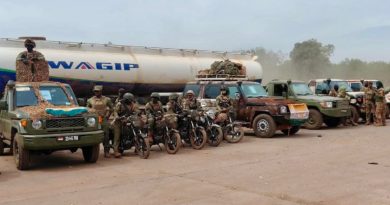 Crise du Mali : 82 camions citernes envoyés par le Niger arrivent à Bamako ( Photos)