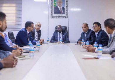 ترأس معالي وزير العقارات وأملاك الدولة والإصلاح العقار بالمندوبين الجهويين للقطاع/11 صورة