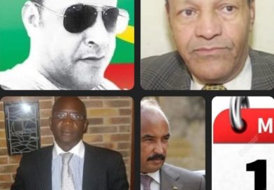 En confrontant les positions de Me Lo Gourmo (partie civile), Me Taleb Khayar (défense) et Cheikh Jiddou (activiste des droits de l’homme), on assiste à une triangulation doctrinale inédite