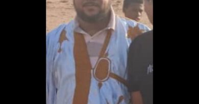 La composante arabe au Mali : entre exclusion médiatique et héritage colonial