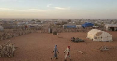 Le Mali affirme que deux soldats étaient «détenus par des groupes terroristes» en Mauritanie