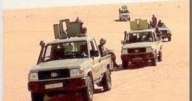 Vaincre sans combattre : la sagesse stratégique mauritanienne face aux tensions à la frontière avec le Mali – Par Sneiba Mohamed