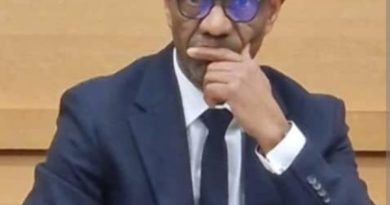 Intégrer pleinement la diaspora mauritanienne dans la stratégie de développement 2026–2030 : une nécessité stratégique – Par Aziz Dem
