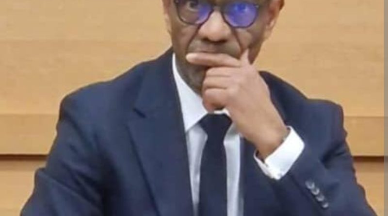 Intégrer pleinement la diaspora mauritanienne dans la stratégie de développement 2026–2030 : une nécessité stratégique – Par Aziz Dem