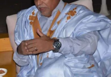 Mauritanie : l’État de droit, fondement indispensable d’une démocratie authentique Par Sidi Mohamed TALEB BRAHIM