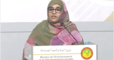 La ministre de l’environnement : « des usines ne respectant pas les normes environnementales seront transférées vers la zone industrielle