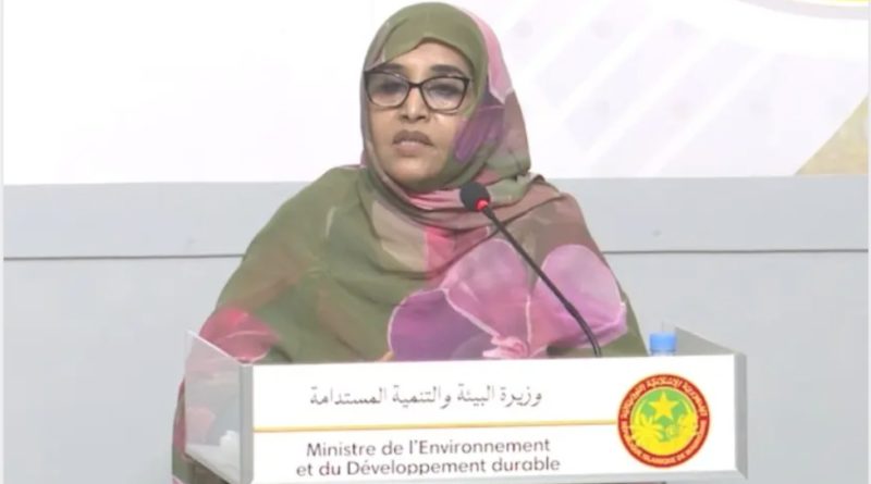 La ministre de l’environnement : « des usines ne respectant pas les normes environnementales seront transférées vers la zone industrielle