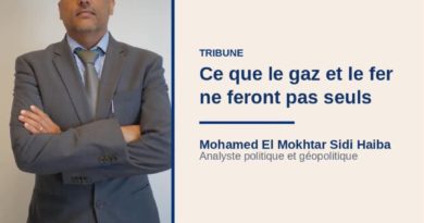 Mauritanie : ce que le Gaz et le Fer ne feront pas seuls – Par Mohd El Mokhtar Sidi Haiba